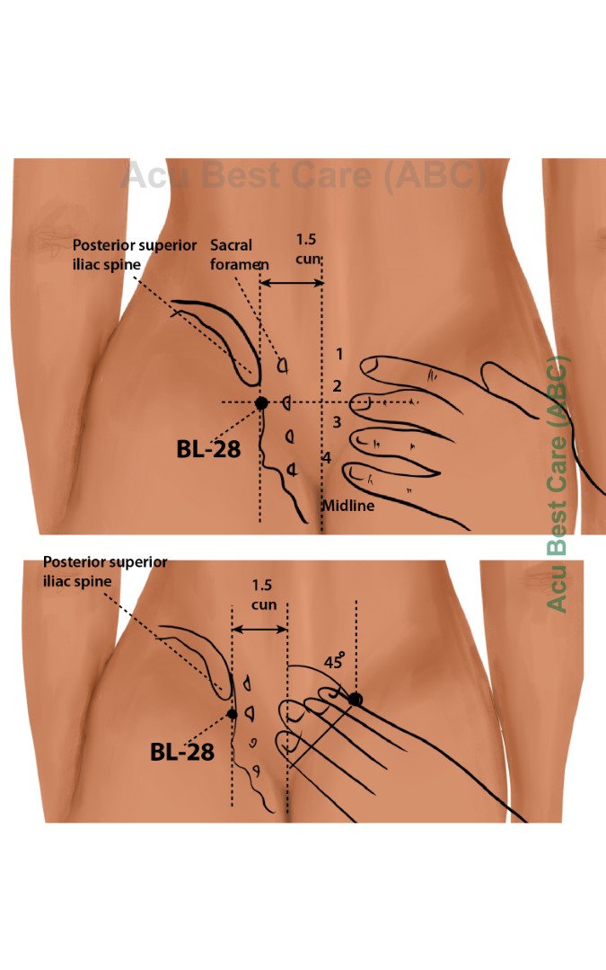 Acubestcare Meridian UB-28 or BL-28